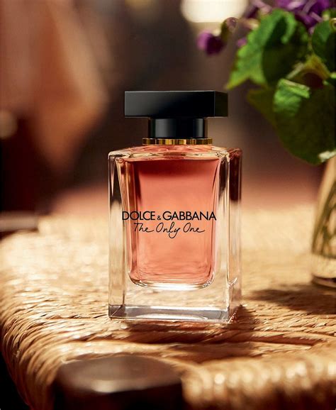 dolce gabbana perfumes review